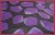 description-image-10.jpeg